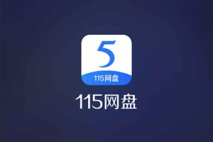 115Master:让115网盘秒变看片神器,超快的加载速度、智能字幕、一键增强体验-BILI