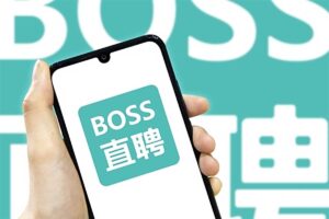 屏蔽 Boss 直聘猎头岗位工具-BILI