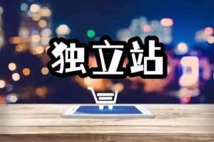 社媒独立站训练营,跑通独立站0-1,3天0基础入门-BILI