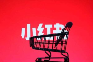 小红书电商从0到1实操运营课，从零开始，简单易学-BILI