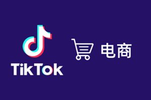 TikTok全套电商实战课：ADS投流+达人带货+GMV MAX增长打法-BILI