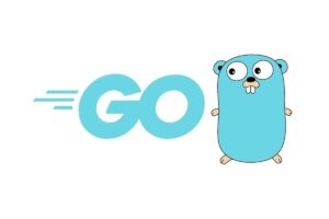 Go 语言从入门到实战-BILI