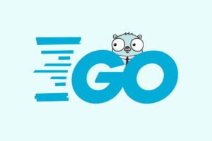 赵珊珊Go语言汇编视频课程-BILI